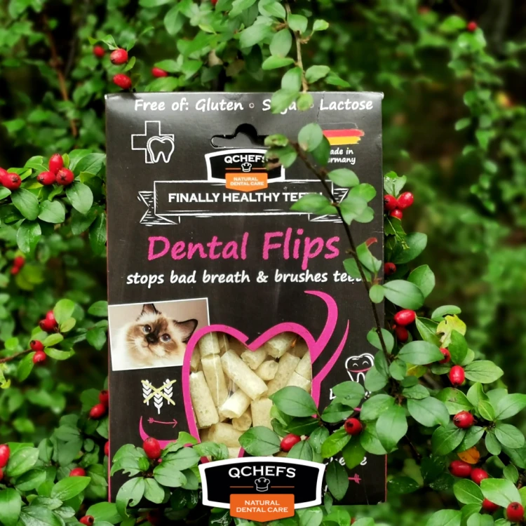 QCHEFS CAT Dental Flips do higieny jamy ustnej dla KOTA