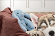 CozyDog KRÓLICZEK uspokajająca przytulanka dla psa Różowa