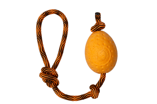 Kiwi Walker Let's Play! EGG Piankowe Jajo pomarańczowe