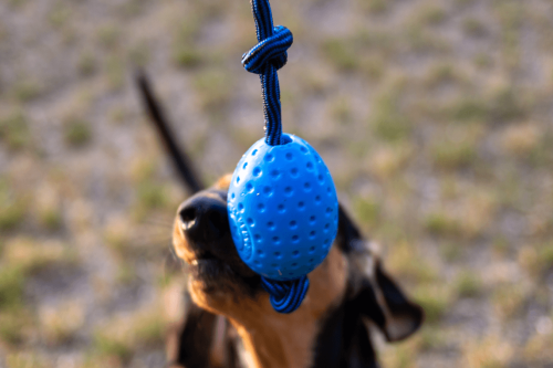 Kiwi Walker Let's Play! EGG Piankowe Jajo niebieskie