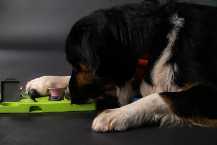 Eat Slow Live Longer PUZZLE TRIANGLE