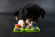 Eat Slow Live Longer PUZZLE RECTANGLE