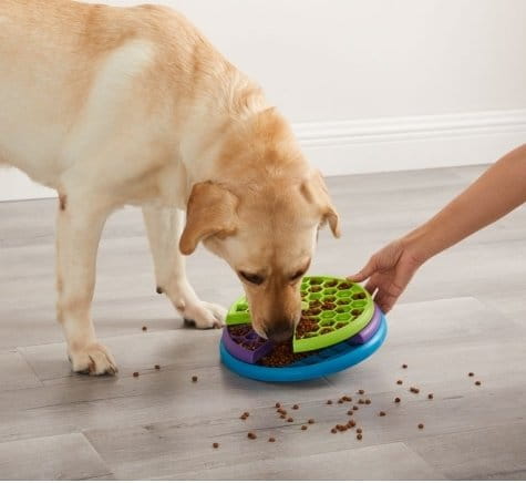 Nina Ottosson Dog Lickin Layers - interaktywna gra dla psów - poziom 2