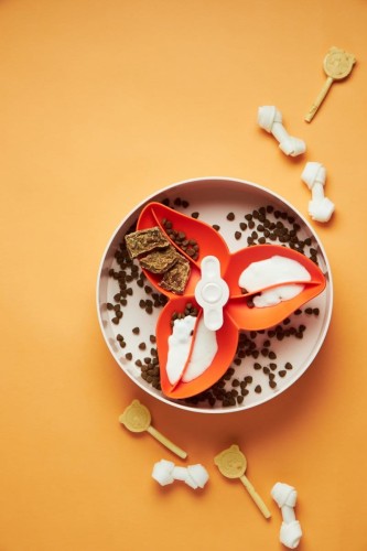 SPIN Interaktywna Miska FLOWER Orange dla psa i kota