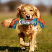 CHEWZZLERS zabawka sznurkowa dla psa