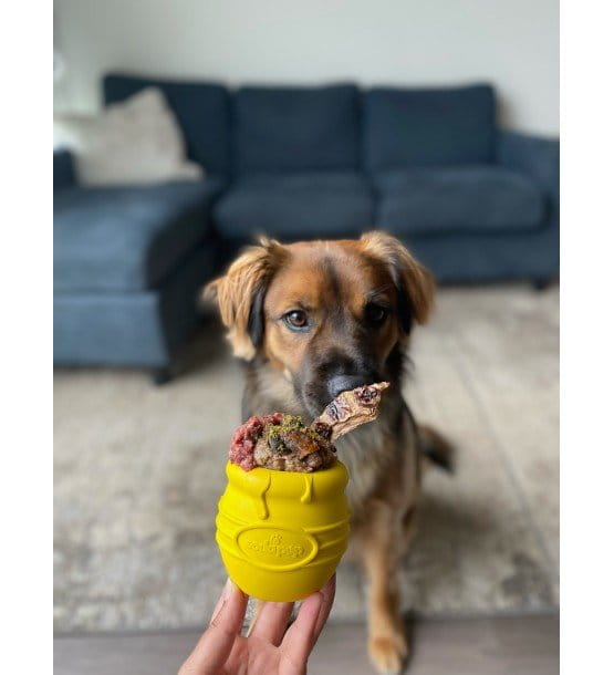 Soda Pup HONEY POT zabawka na przysmaki