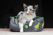 Kiwi Walker OVAL PET BED zielono-szary rozmiar XL