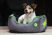 Kiwi Walker OVAL PET BED zielono-szary rozmiar XL