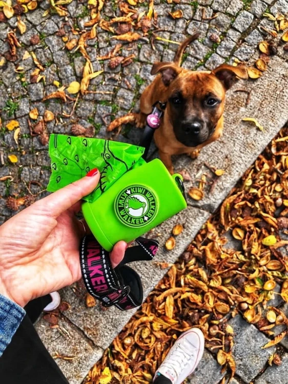 Kiwi Walker ETUI NA KUPOWORKI różowe