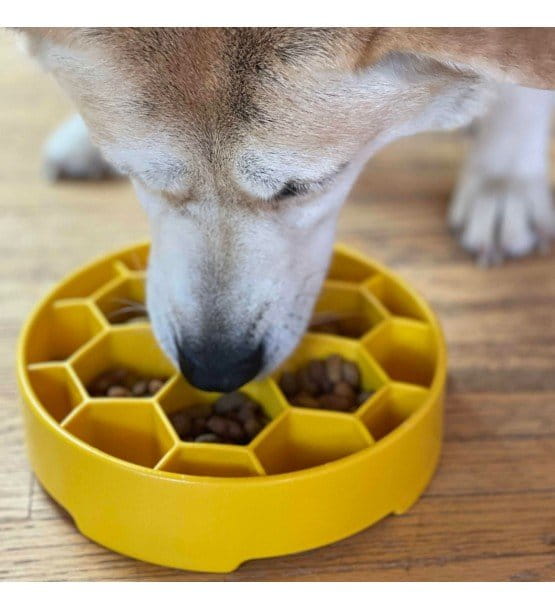 Soda Pup Miska spowalniająca HONEYCOMB dla psa i kota