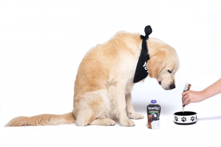 ZESTAW! Mata LickiMat® Classic Buddy™ + YOW UP! Zdrowe Stawy Jogurt dla psa z kurczakiem