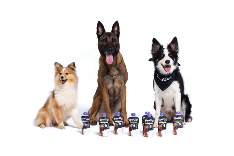 ZESTAW! Mata LickiMat® Classic Buddy™ + YOW UP! Zdrowe Stawy Jogurt dla psa z kurczakiem