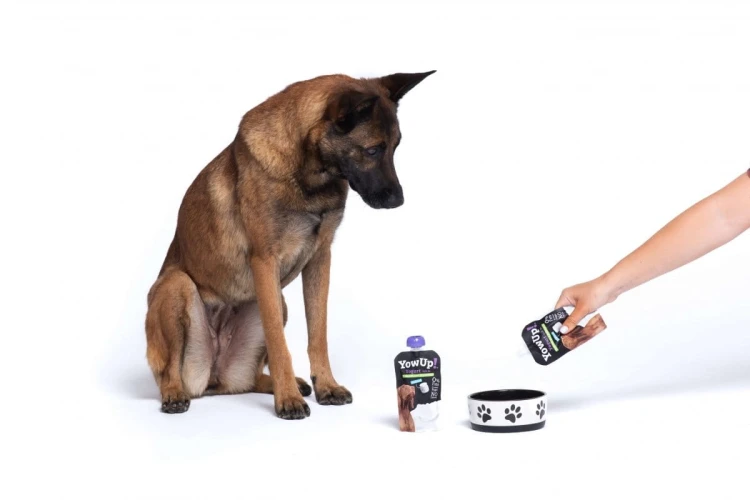 ZESTAW! Mata LickiMat® Classic Playdate™ + YOW UP! Prebiotyki Jogurt naturalny dla psa