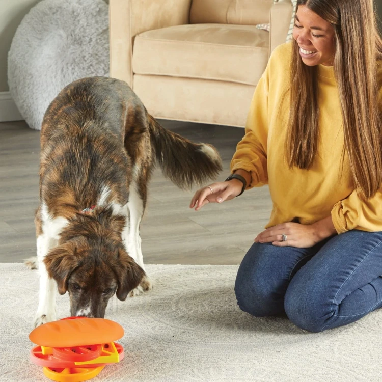 Brightkins Łamigłówka Gra Pupstrami Surprise! PSIA KANAPKA