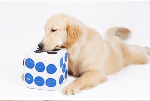 DOGLEMI Zabawka węchowa KOSTKA dla psa i kota