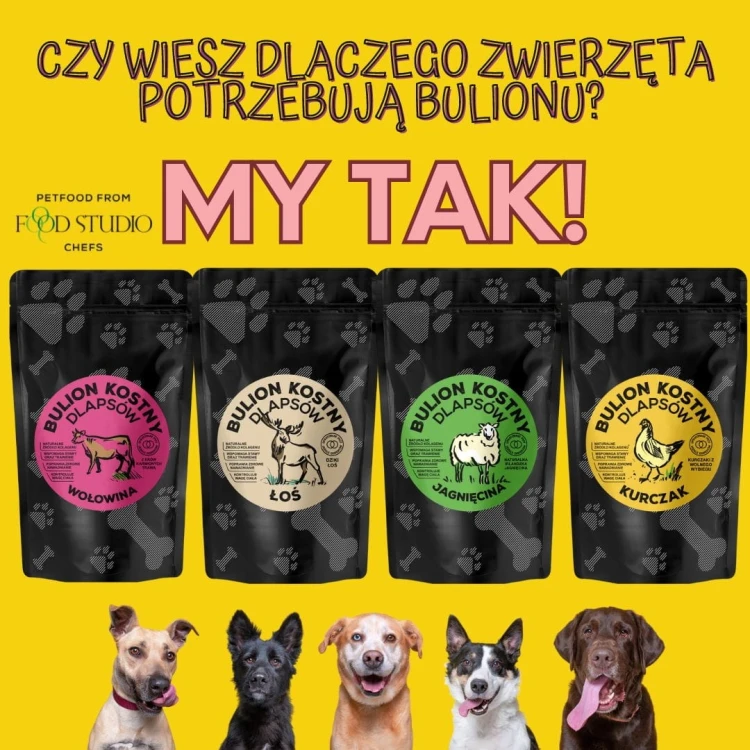 ZESTAW! Food Studio Chefs BULION KOSTNY dla psów DZIKI ŁOŚ + JAGNIĘCINA + KURCZAK + WOŁOWINA 4 X 230 ml