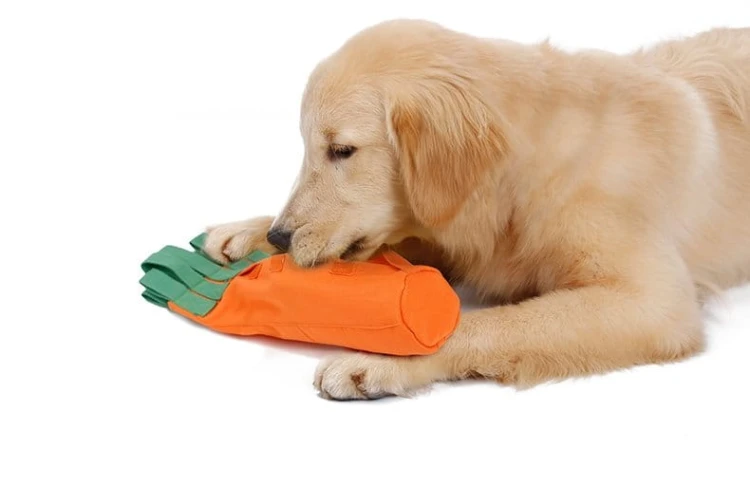 DOGLEMI Zabawka dla psa MARCHEWKA