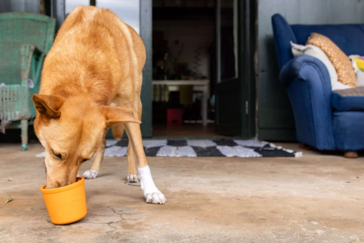 Mata LickiMat® Yoggie Pot różowa
