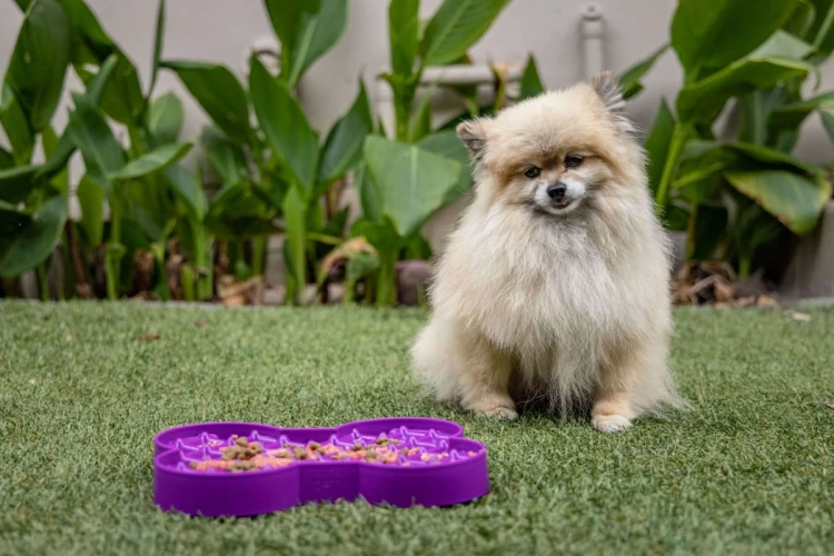 Miska slow food spowalniająca jedzenie SMALL SLODOG® różowa dla psa i kota