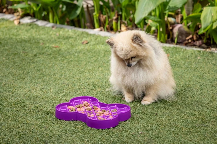 Miska slow food spowalniająca jedzenie SMALL SLODOG® różowa dla psa i kota