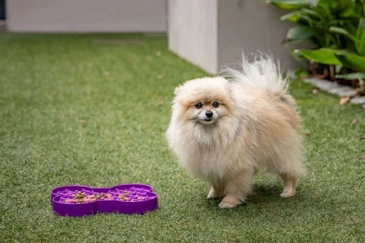 Miska slow food spowalniająca jedzenie SMALL SLODOG® różowa dla psa i kota