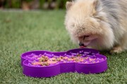 Miska slow food spowalniająca jedzenie SMALL SLODOG® turkusowa dla psa i kota