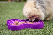 Miska slow food spowalniająca jedzenie SMALL SLODOG® turkusowa dla psa i kota