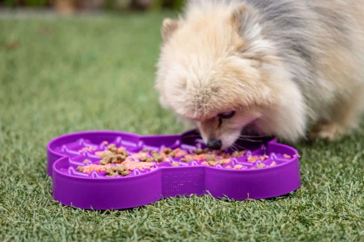 Miska slow food spowalniająca jedzenie SMALL SLODOG® turkusowa dla psa i kota