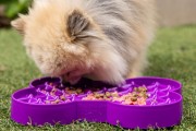 Miska slow food spowalniająca jedzenie SMALL SLODOG® turkusowa dla psa i kota