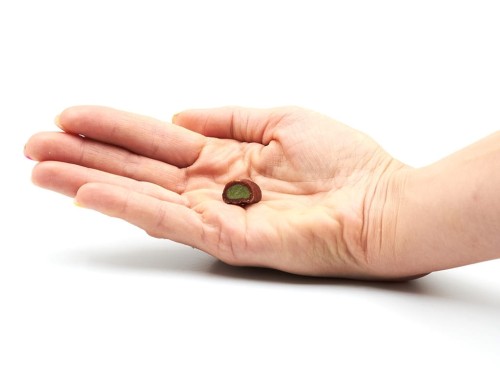 SLOW DOG Chapsiki wołowe z dynią 250g Przysmak dla psa