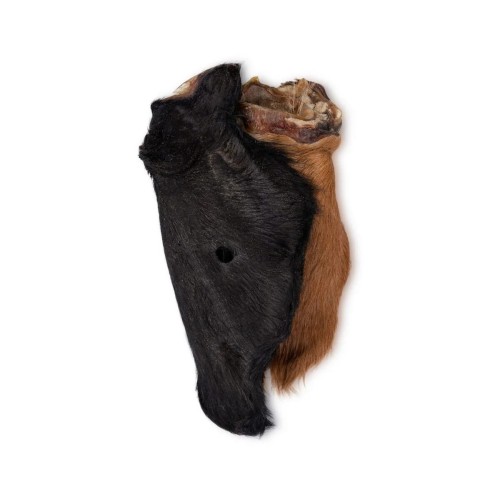 UNISZKI Ucho wołowe z sierścią 1 szt. Przysmaki dla psa