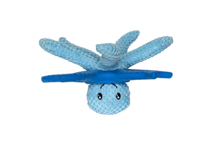 Kiwi Walker 2w1 OCTOPUS &amp; STARFISH niebieski