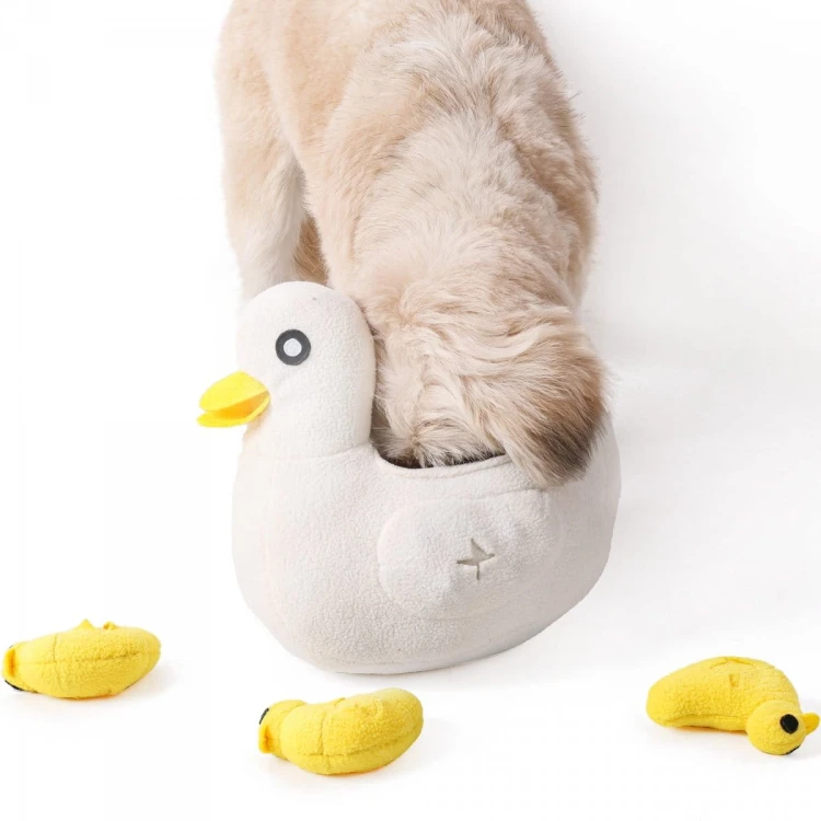 ZESTAW! Zabawka węchowa KACZA RODZINKA + Kiwi Walker 100% KACZKA liofilizowane smaczki 80g