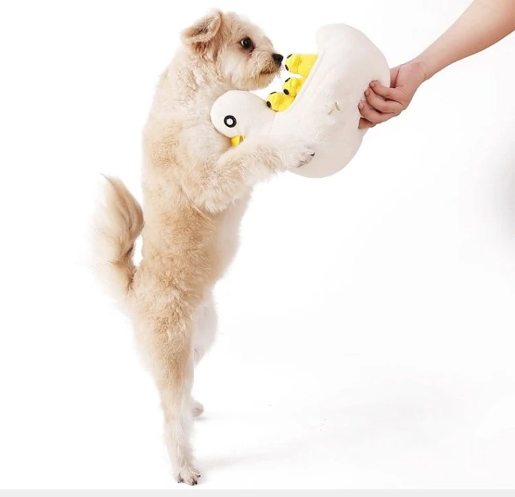 ZESTAW! Zabawka węchowa KACZA RODZINKA + Kiwi Walker 100% KACZKA liofilizowane smaczki 80g