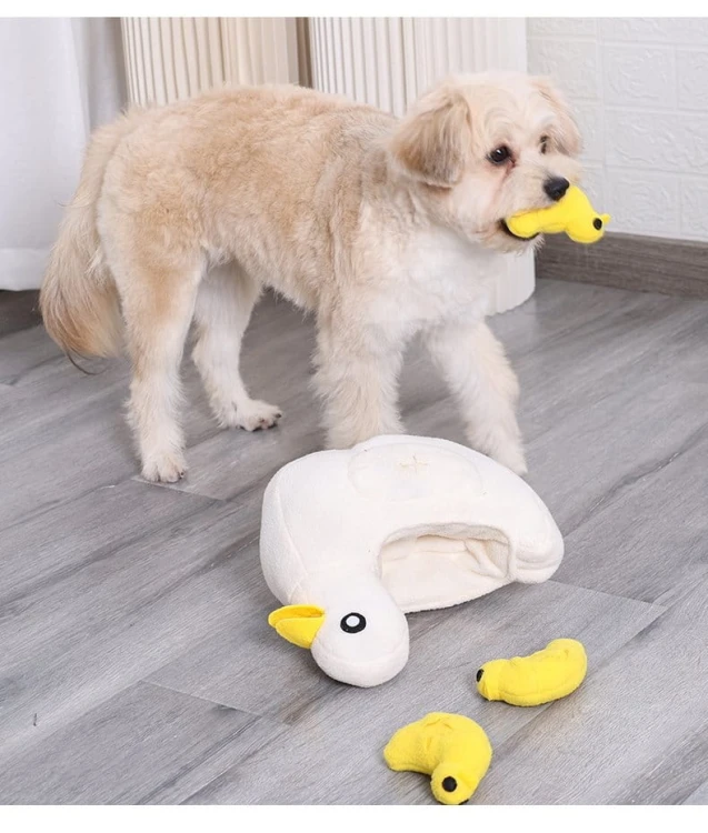 ZESTAW! Zabawka węchowa KACZA RODZINKA + Kiwi Walker 100% KACZKA liofilizowane smaczki 80g