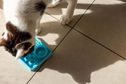 Mata LickiMat® Classic Kitty™ turkusowa