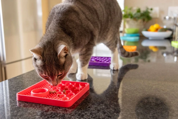 Mata LickiMat® Classic Catster™ zielona