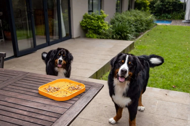 Mata LickiMat® Slomo™ XL czarna