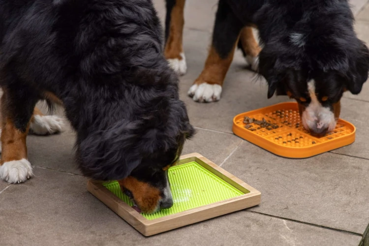 Mata LickiMat® Slomo™ XL czarna