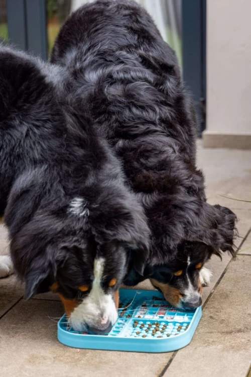 Mata LickiMat® Slomo™ XL czarna