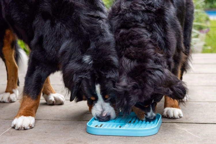 Mata LickiMat® Slomo™ XL czarna