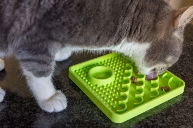 Mata LickiMat® Classic Catster™ turkusowa