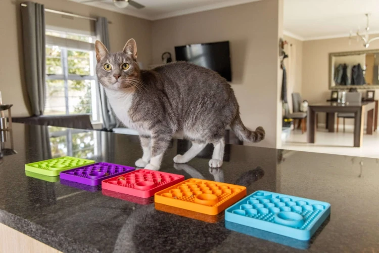 Mata LickiMat® Classic Catster™ turkusowa