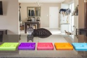 Mata LickiMat® Classic Catster™ turkusowa