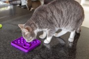 Mata LickiMat® Classic Catster™ turkusowa