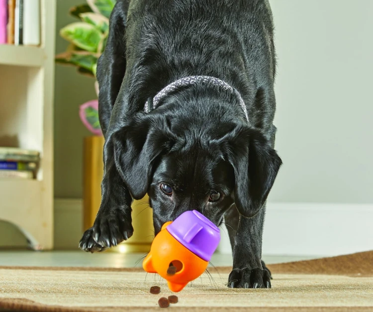 Brightkins Zabawka na przysmaki Teacup Surprise! FILIŻANKA