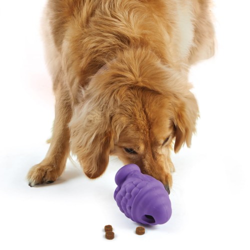 Brightkins Zabawka na przysmaki Large Gnome DUŻY GNOM