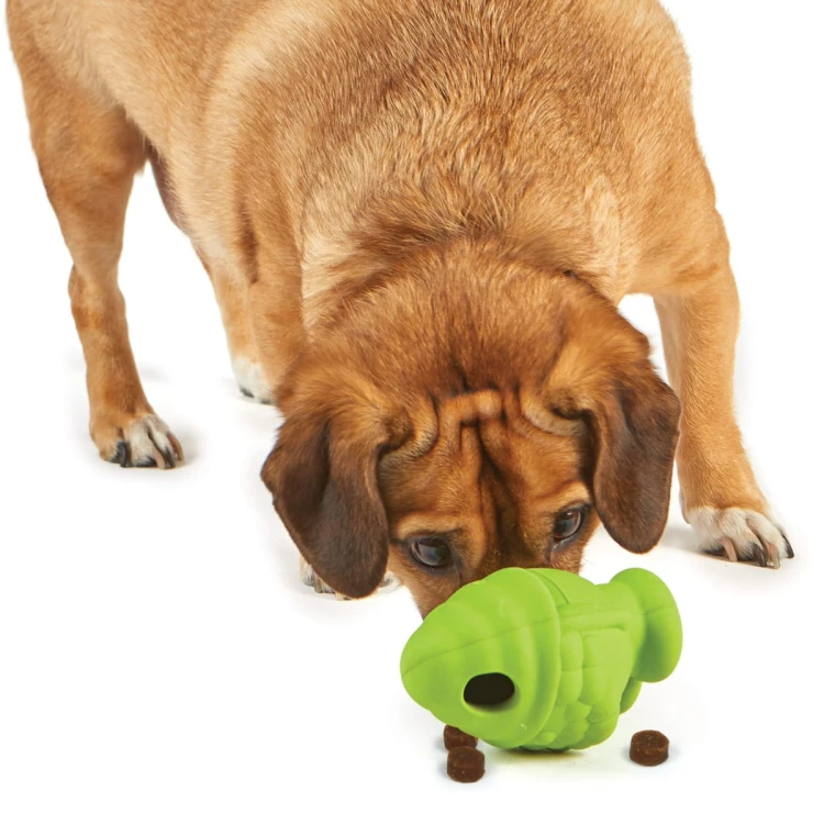 Brightkins Zabawka na przysmaki Small Gnome MAŁY GNOM