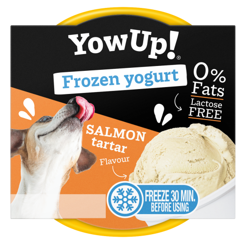 YOW UP! Salmon Tartar FROZEN YOGURT Jogurt do mrożenia o aromacie tatara z łososia 110g