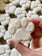 AUNA PSIAMPON kokosowy do mycia łapek i całego pupila 60 g